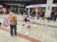 -大鹏佳兆业广场