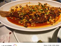 -新侨小馆(东直门北小街店)