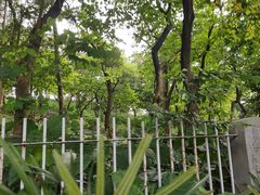 -广州雕塑公园