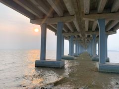 -宝安西湾红树林湿地公园