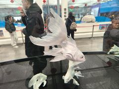 -长春农博园