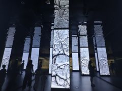 -中国湿地博物馆