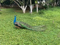 -昆明动物园