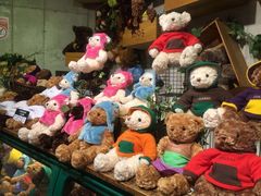 -济州岛泰迪熊博物馆