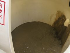 -100蛋泥浆浴