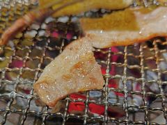 -樱嘢·炭火烧肉(惠南店)
