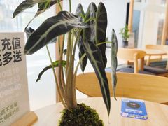 -轻蔬不用等·素食(江苏路店)