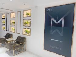 -MIVI野生眉纹绣纹眉