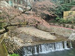 -月光园游月山庄