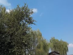 -泉城广场