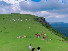 -大姆山草场