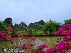 -靖西鹅泉风景区