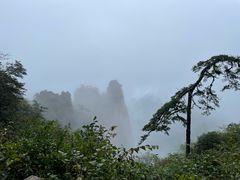 -黄山风景区