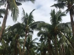 -白沙门生态公园