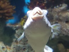 -福州罗源湾海洋世界旅游区