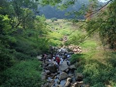 -东莞市大岭山森林公园
