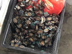 -东方鼎信农副产品交易中心