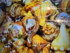 -粤盛海鲜楼(融冠乐城店)
