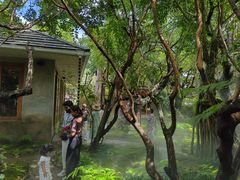 -Chom Cafe and Restaurant