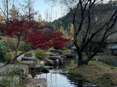 -天河潭旅游度假区