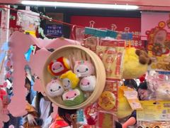 -越秀西湖花市(广州城市广场花卉店)