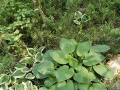 -大连植物园