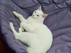 -狗舍宠物医院(四季商业广场店)