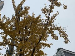 -百林公园-两江幸福广场