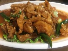 -陈生记黑鱼馆·20年活鱼现杀(宁波鼓楼店)