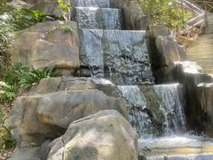 -广州市流溪河国家森林公园