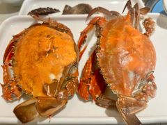 -大锅强·蒸海鲜青岛菜(城市阳台店)