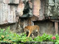 -长鹿旅游休博园