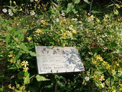 -广州神农草堂中医药博物馆