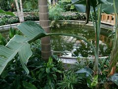 -北京植物园-展览温室