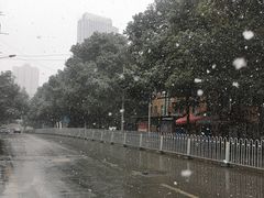 -丝恋丝娃娃(逸天城国贸店)