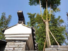 -枫香湖儿童公园