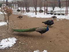 -淇河国家湿地公园