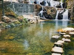-鼎湖山风景区