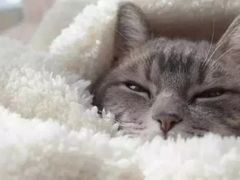 -中家鑫园温泉酒店鑫悦汤泉