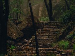 -大岭沟猕猴桃谷风景区