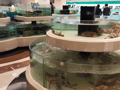 -慈溪白金汉爵大酒店