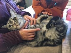 -藦茜花园宠物主题亲子互动体验馆(国顺东路店)