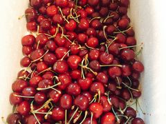 -城一锅涮烤羊蝎子·烤串