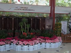 -寿山福海养老服务中心(石景山院)