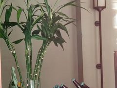 -丽晶美庐·玉兰餐厅