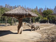 -上海野生动物园