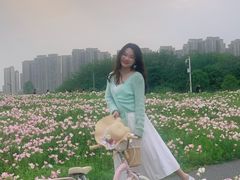 -洋湖国家湿地公园