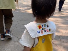 -东明山森林公园