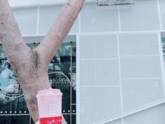 -奈雪的茶(大梅沙8号仓店)