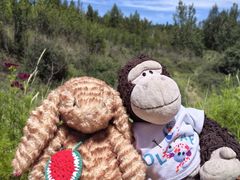 -鄂尔多斯野生动物园